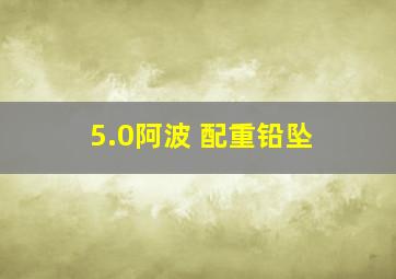 5.0阿波 配重铅坠